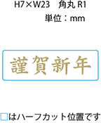 ��������롡��쿷ǯ��[100��]����